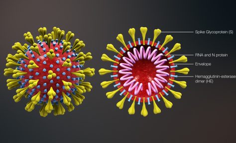 3D medical animation of corona virus